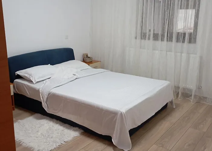 Casa Camelia Craiova